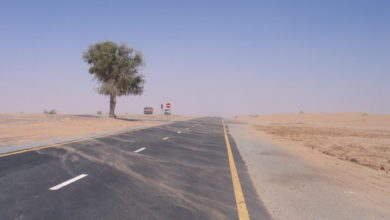 Road Safety in Umm Al Quwain Statistics