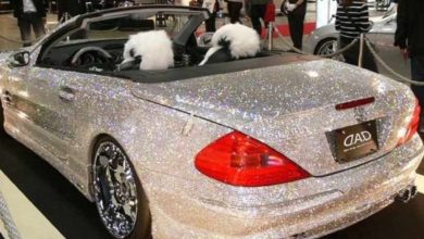 The 8 Craziest Supercars in Dubai That Will Blow Your Mind