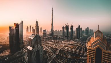 Driving in UAE | Dubai and Abu Dhabi Road Safety Guide